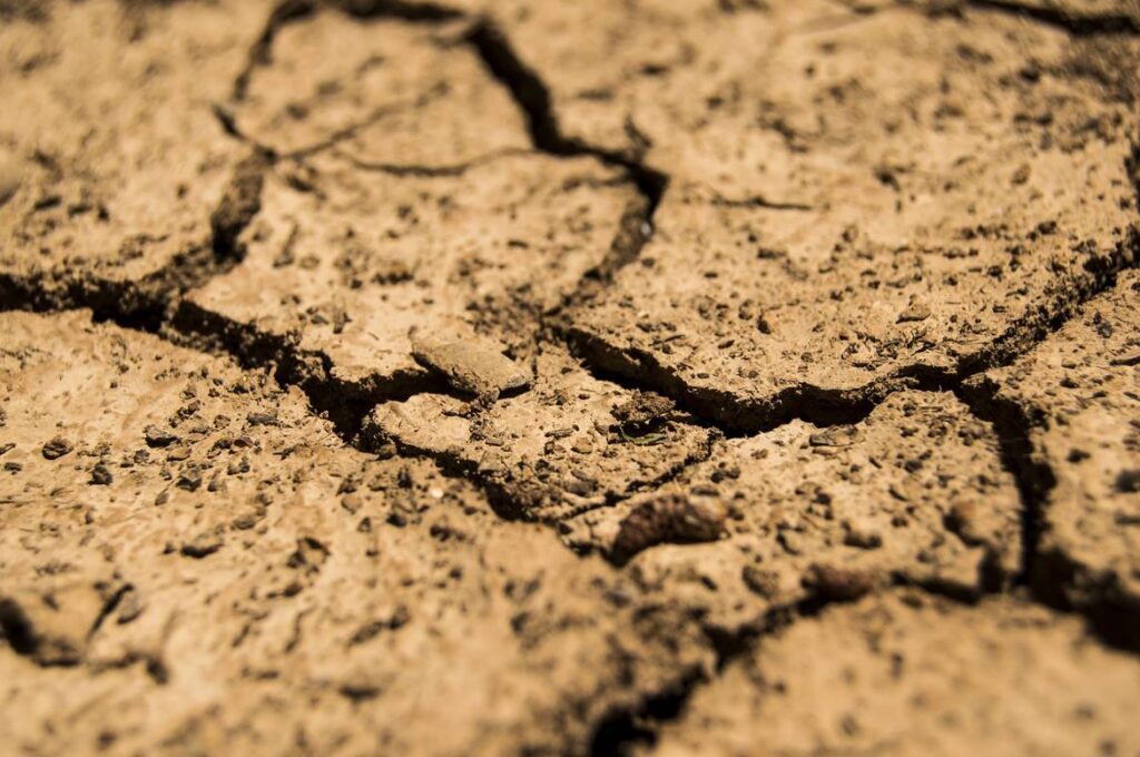 curso de aplicación de herramientas para la gestión del riesgo agroclimático del sena, forestal y medio ambiente sena