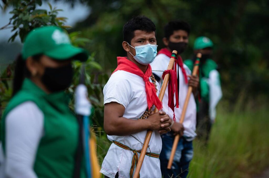 curso de aplicación de investigación de recursos naturales en comunidades étnicas del sena, forestal y medio ambiente sena