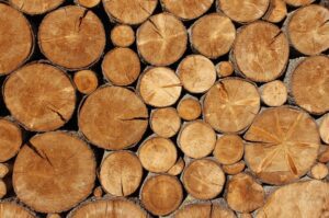 curso de aplicación de técnicas industriales para secado de madera del sena, cursos agricolas sena, cursos de agricultura en el sena
