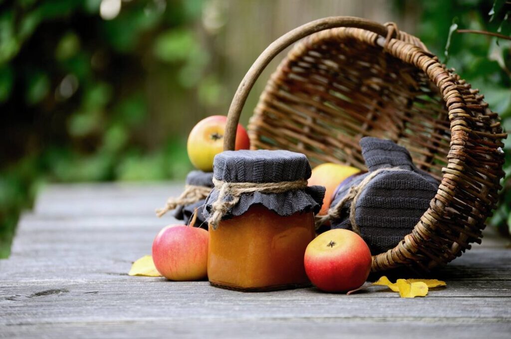 curso de preparación de conservas de frutas y verduras del sena, agroindustrial sena, cursos de agropecuaria en el sena