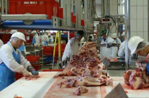 curso de procesamiento de productos cárnicos del sena, agroindustrial sena, cursos de agropecuaria en el sena
