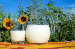 curso de procesamiento de productos lácteos del sena, agroindustrial sena, cursos de agropecuaria en el sena