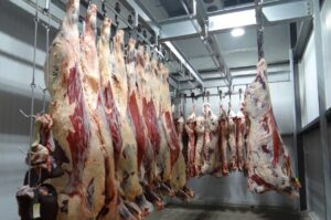 curso de procesos tecnológicos de la carne del sena, agroindustrial sena, cursos de agropecuaria en el sena