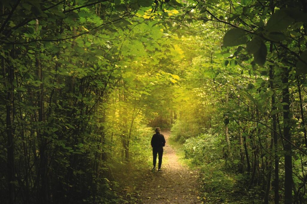 cursos de forestal y medio ambiente del sena, forestal y medio ambiente sena