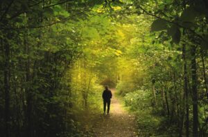 cursos de forestal y medio ambiente del sena, forestal y medio ambiente sena